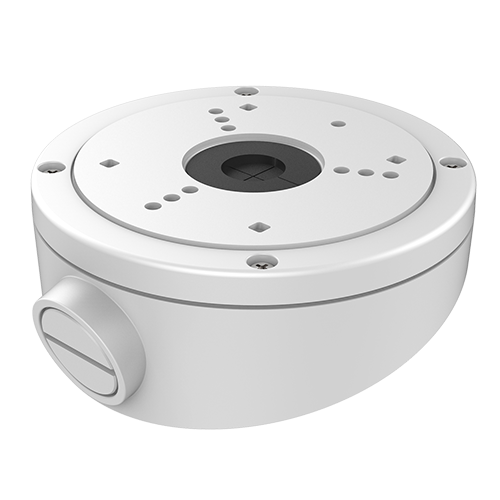 Geneigte Deckenhalterung - DS-1281ZJ-S