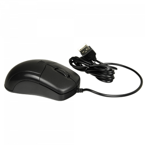 20200603102800_raton