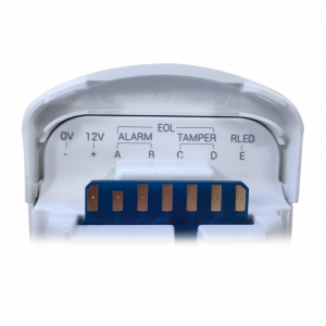 20210920215656_detalle2